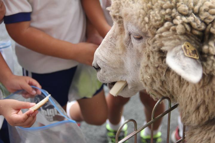 移動動物園について